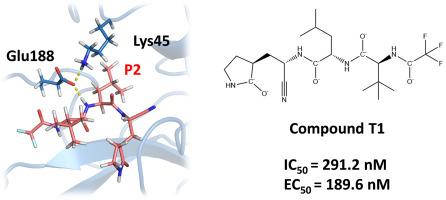 Design and biological evaluation of candidate drugs against zoonotic porcine deltacoronavirus (PDCoV)