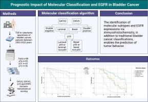 Prognostic impact of EGFR expression and immunohistochemistry-based “molecular classification” in bladder cancer