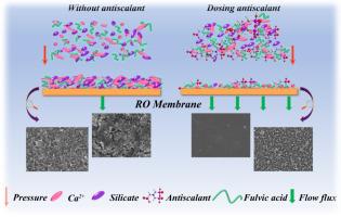 Investigation of the effect of phosphonate antiscalants on the reverse osmosis membranes' permeation and desalination performance in mine wastewater treatment process