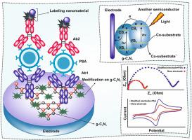 Photoelectrochemical biosensors: Prospects of graphite carbon nitride-based sensors in prostate-specific antigen diagnosis