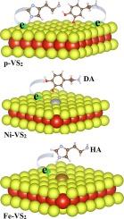 Uncovering efficient sensing properties of vanadium disulfide (VS2) nanosheets towards specific neurotransmitters: A DFT prospective