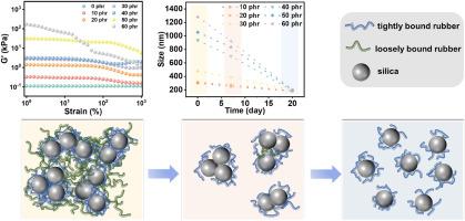 Fraction-dependent filler network in silicone rubber: Unraveling abrupt enhancement in rheological properties via solvent extraction and DLS study