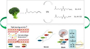 Abstract Image