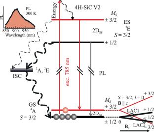 Local Diagnostics of Spin Defects in Irradiated SiC Schottky Diodes