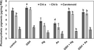 Exogenous application of glutathione induces wheat tolerance to heavy metal stress by modulating the antioxidative enzymatic defenses