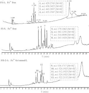 Rhizosphere microorganisms from the soil around the roots of Lycium barbarum L.