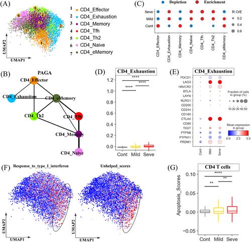 Single-cell transcriptome atlas revealed bronchoalveolar immune features related to disease severity in pediatric Mycoplasma pneumoniae pneumonia