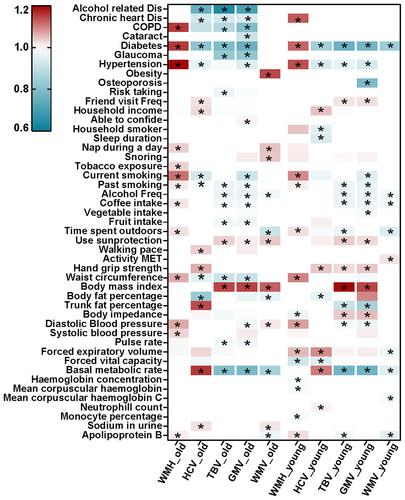 Identifying modifiable factors associated with neuroimaging markers of brain health