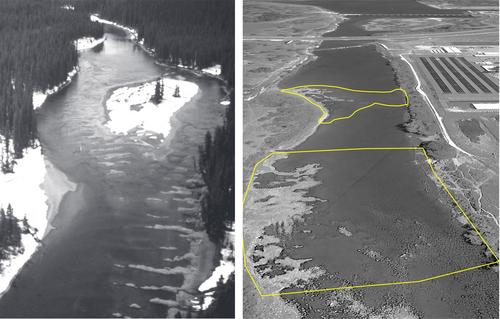 Disruption of natural disturbance regime decouples habitat and life stage in a keystone species