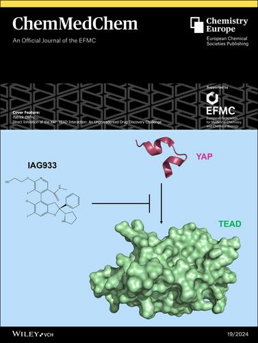 Cover Feature: Direct Inhibition of the YAP : TEAD Interaction: An Unprecedented Drug Discovery Challenge (ChemMedChem 19/2024)