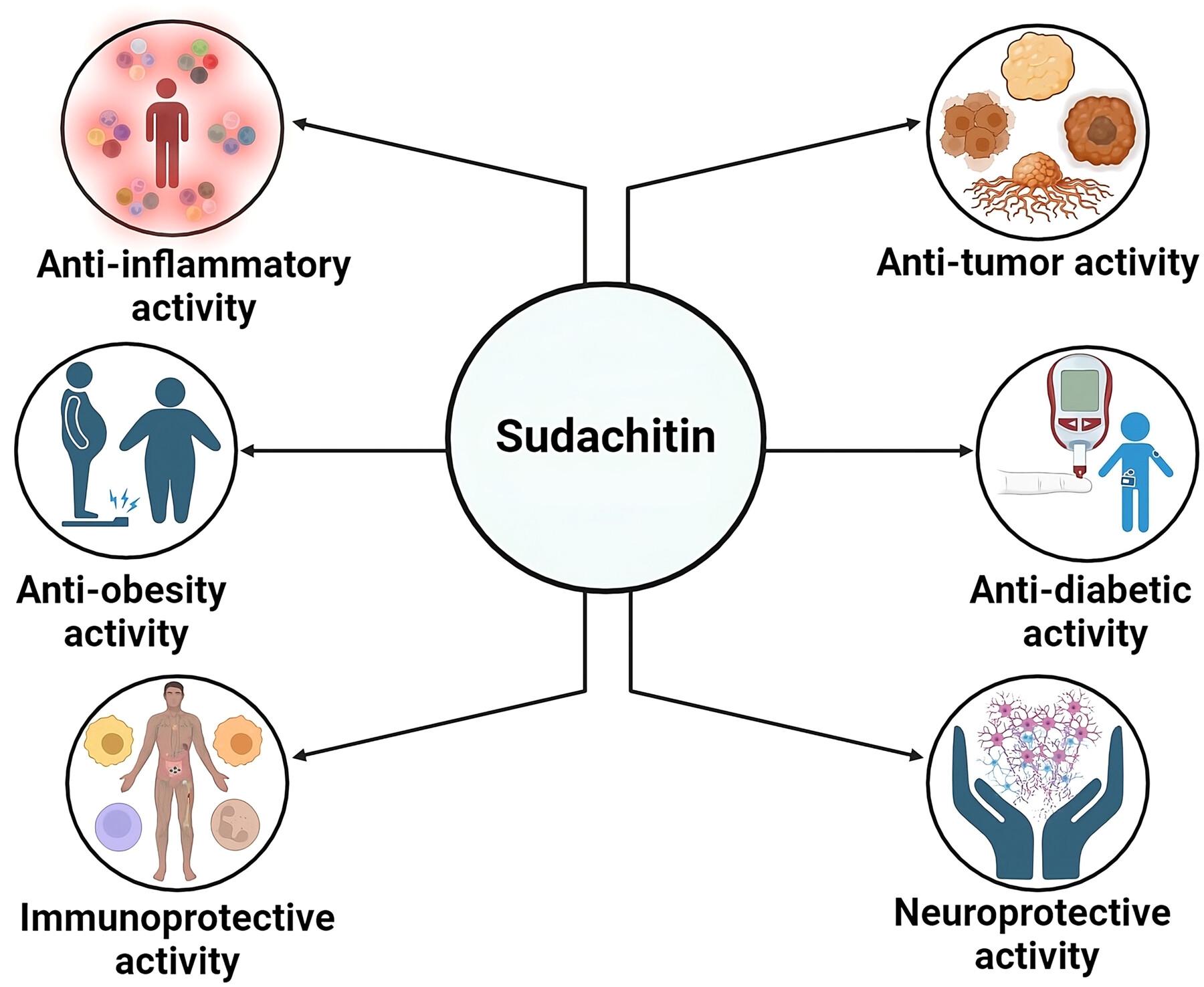 Therapeutic overview of sudachitin