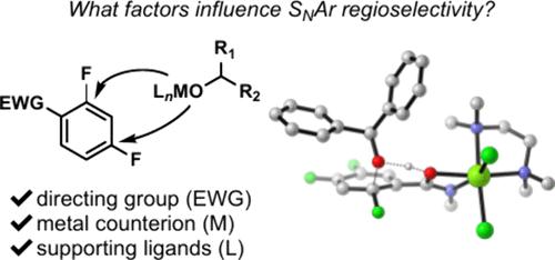 Mechanism-Based Regiocontrol in SNAr: A Case Study of Ortho-Selective Etherification with Chloromagnesium Alkoxides