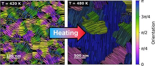 Nanoscale View of Alignment and Domain Growth in a Hexagonal Columnar Liquid Crystal
