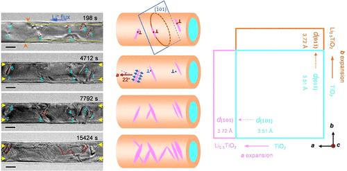 Defect-Mediated Formation of Oriented Phase Domains in a Lithium-Ion Insertion Electrode