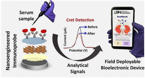 Software Integrated Personalized Biosensing Device for Serum Creatinine Detection Based on Boron doped MXene Nanohybrid