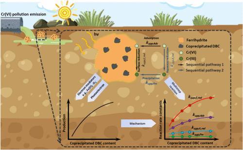 Sunlight-Driven Direct/Mediated Electron Transfer for Cr(VI) Reductive Sequestration on Dissolved Black Carbon–Ferrihydrite Coprecipitates