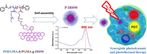 Deep near infrared light-excited stable synergistic photodynamic and photothermal therapies based on P-IR890 nano-photosensitizer constructed via a non-cyanine dye