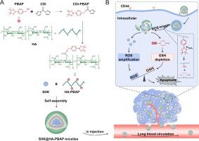 Simple ROS-responsive micelles loaded Shikonin for efficient ovarian cancer targeting therapy by disrupting intracellular redox homeostasis