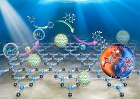 Self-assembly of decavanadate and Ni(HCO3)2 into nanoparticles anchored on carbon nitride for efficient photocatalytic Minisci-type alkylation