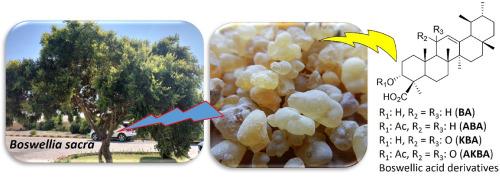 Triterpenoids from Frankincense and Boswellia: A focus on their pharmacology and 13C-NMR assignments