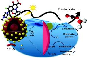 Highly efficient treatment of pharmaceutical contaminants: A comprehensive study on the performance and mechanism of sustainable yolk-in-double-shelled CuCo2S4@Bi-doped TiO2 photocatalyst