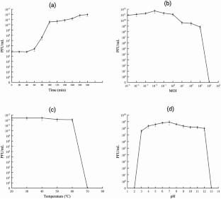 Characterization and genomic analysis phage PmP19, a novel Proteus mirabilis phage with a broad host range