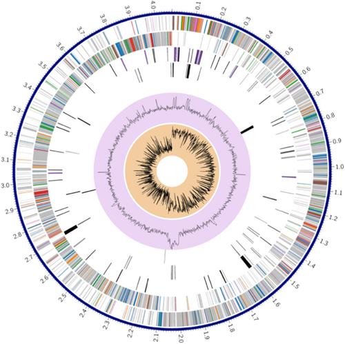 Influence of microbiota on the growth and gene expression of Clostridioides difficile in an in vitro coculture model