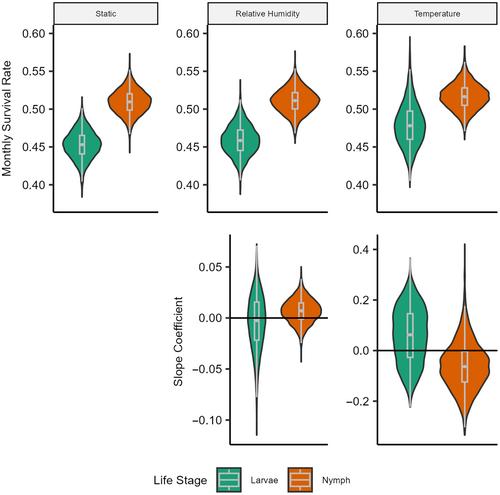 A modified matrix model captures the population dynamics for the primary vector of Lyme disease in North America