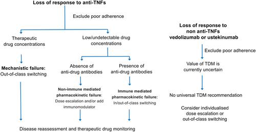 Review article: Optimisation of biologic (monoclonal antibody) therapeutic response in inflammatory bowel disease