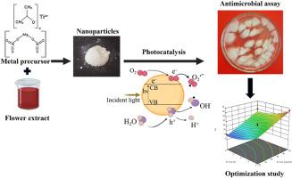 A study on bacterial inactivation using green synthesized photocatalytically active TiO2, MgO, TiO2/MgO nanoparticles