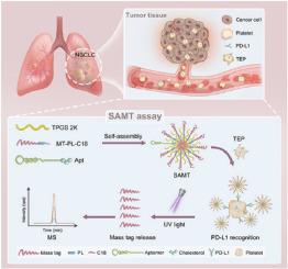 Mass-tagged self-assembled nanoprobe reveals the transport of PD-L1 from cancer cells to tumor-educated platelets