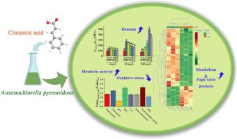 Growth and metabolism regulation of cinnamic acid and its derivatives to Auxenochlorella pyrenoidosa