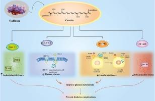 The beneficial effects of crocin supplementation on metabolic and genetic parameters in type 2 diabetic patients under metformin treatment: A randomized double-blind controlled clinical trial