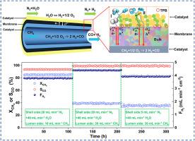 Co-free La0.9Ca0.1Fe1-xCuxO3-δ (x = 0.05, 0.1) hollow fiber membranes for H2/N2 and H2/CO co-production by coupling water splitting and partial oxidation of methane