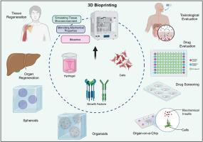 Evolution of toxicity testing platforms from 2D to advanced 3D bioprinting for safety assessment of drugs