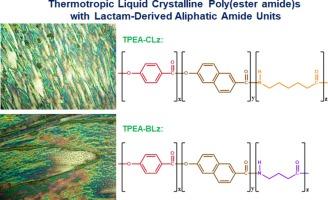 Improved thermal, mechanical, and dielectric properties of thermotropic liquid crystalline poly(ester amide)s containing lactam-derived segmental units