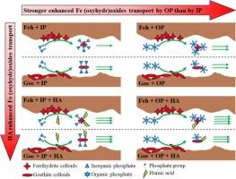 Impact of humic acid on iron (oxyhydr)oxide transport in the presence of phosphate in saturated porous media