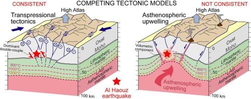 Tectonics of the Mw 6.8 Al Haouz earthquake (Morocco) reveals minor role of asthenospheric upwelling