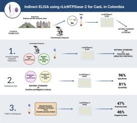 Preliminary field evaluation of indirect ELISA test using the recombinant antigen rLicNTPDase-2 for serodiagnosis of canine leishmaniasis in Colombia