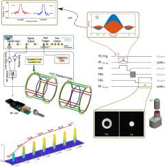 Simultaneous multinuclear MRI via a single RF channel