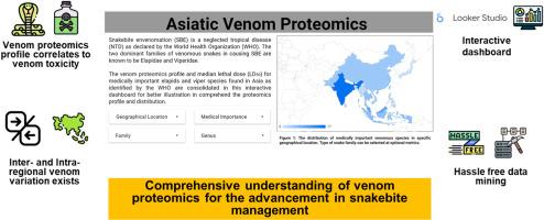 Deciphering toxico-proteomics of Asiatic medically significant venomous snake species: A systematic review and interactive data dashboard