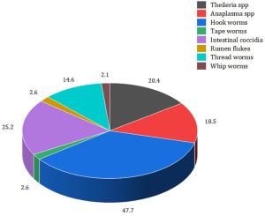 Effects of environmental factors on host-parasite interaction patterns in backyard-tethered goats of Kerala, India