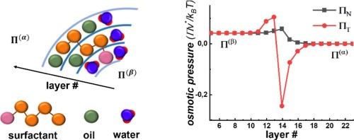 Thermodynamic properties and structure of interfacial boundaries in nonionic fluids from the multilayer quasichemical model