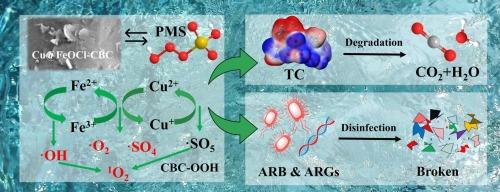 Activation of peroxymonosulfate by Cu-doped iron oxychloride biochar for the degradation of tetracycline and disinfection of its resistant bacteria