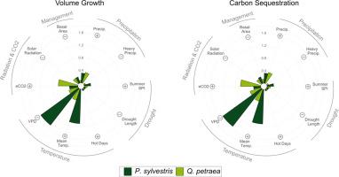 Assessing the ecological complexity and uncertainty of predicting forest ecosystem services under climate change