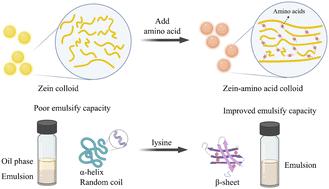 The relationship between the secondary structure and the emulsifying ability of protein-based particles and the Pickering emulsions stabilized by the zein–lysine complex†