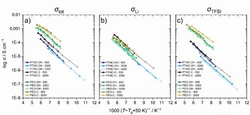 Influence of Molecular Weight and End Groups on Ion Transport in Weakly and Strongly Coordinating Polymer Electrolytes