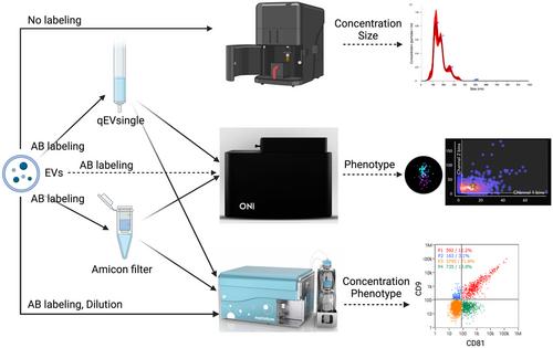 Comparison of nanoimaging and nanoflow based detection of extracellular vesicles at a single particle resolution