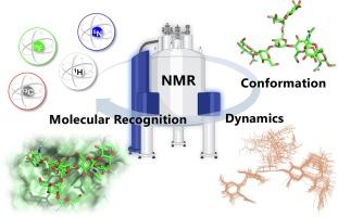 NMR investigations of glycan conformation, dynamics, and interactions