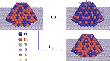 Characterizing the surface compositions of supported bimetallic PtSn clusters: Effects of cluster-support interactions and surface adsorbates